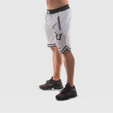 SHORTS JORDAN 2.0 - Pantaloncini maschili da palestra (Vari colori)